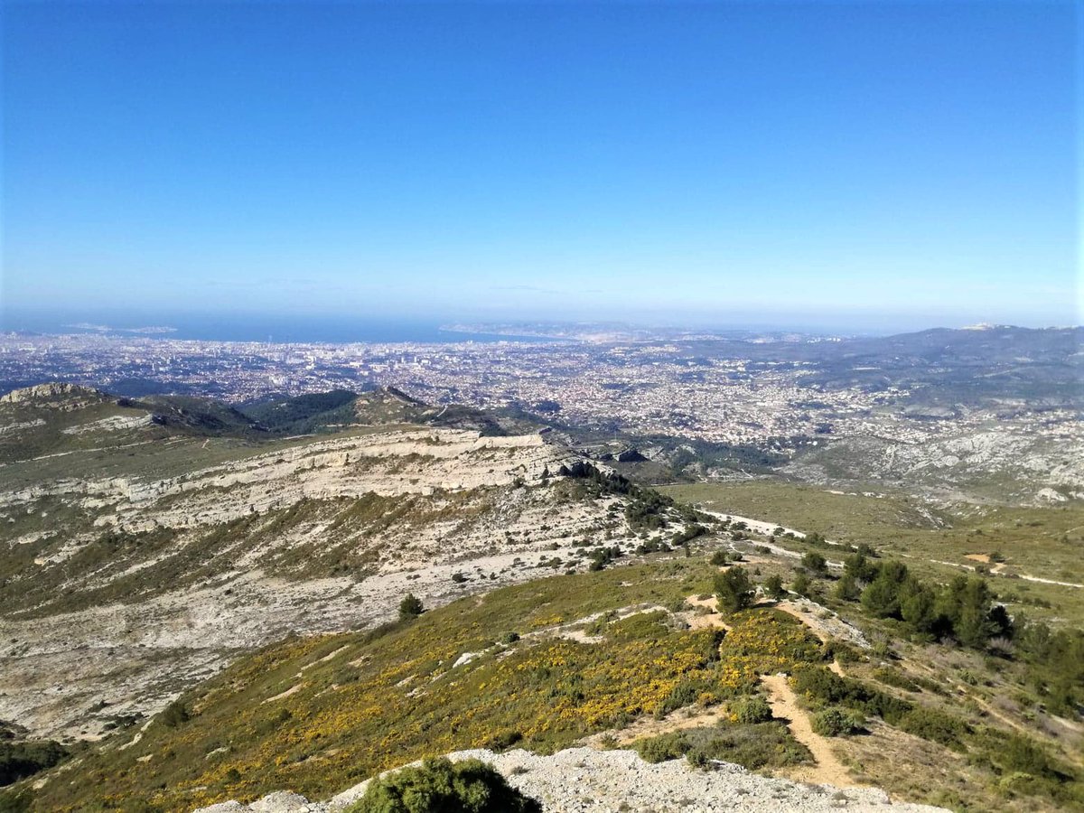 Le 8 mai ⏱️, venez découvrir l'un des plus beaux panorama sur Marseille🚶‍♀️🚶‍♂️
Chaussez vos baskets et venez courir le Trail Centrale Marseille !
