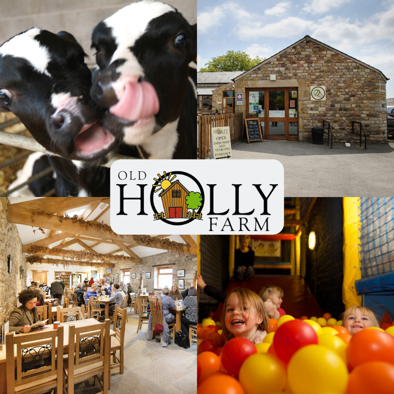 GrandparentHub's tweet photo. If you are looking for somewhere to take the grandchildren then why not visit @OldHollyFarm in Lancashire? This working farm has plenty for the whole family and an indoor play area in case the weather turns. Visit https://t.co/YxbxVRWVsc for more info.
#momentstomemories #DaysOut https://t.co/ITt3ELljc8