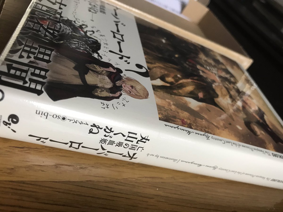 Akatuki すげー 手が震える いつもの小説並の406ページ オーバーロード 特典小説