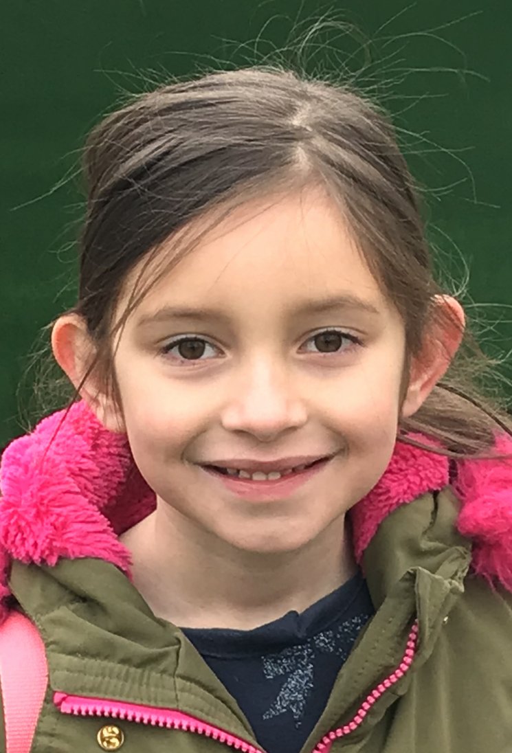 Dragons RFC 🐉 tweet media