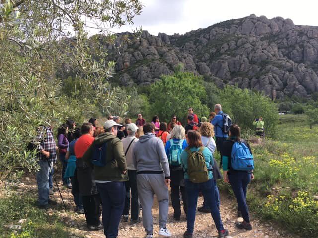 BibEsparreguera's tweet photo. En marxa la caminada just al peu de Montserrat, tot escoltant les explicacions de Joan Soler Gironès. #quèfemalesbiblios #esparreguera #montserrat #caminantpermontserrat #collbató #vinyanova #parcsibiblioteques @bibliotequesXBM @xarxadeparcs https://t.co/F5ZxsEfaoJ