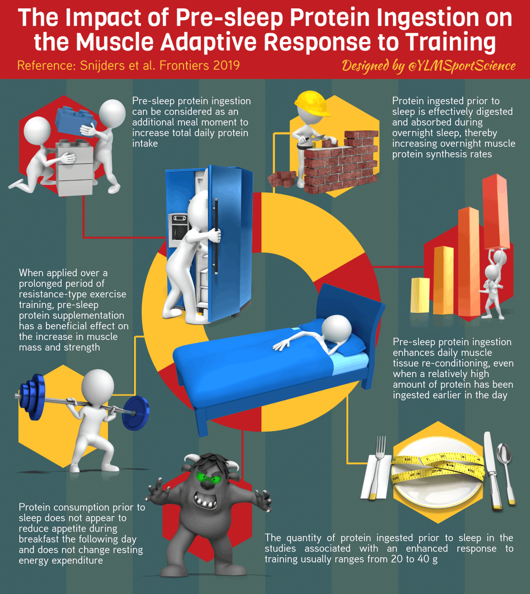 YLMSportScience's tweet photo. #New 🍴😴 Pre-sleep protein ingestion &amp; muscle adaptive response to training
⬆️ Overnight protein synthesis
💪🏻 Positive effect on muscle mass &amp; strength when applied over prolonged period

🇬🇧🇪🇸🇫🇷 More infographics on YLMSportScience app (72h free trial) https://t.co/lS2zqOLWVJ https://t.co/zbXbLjyIQG