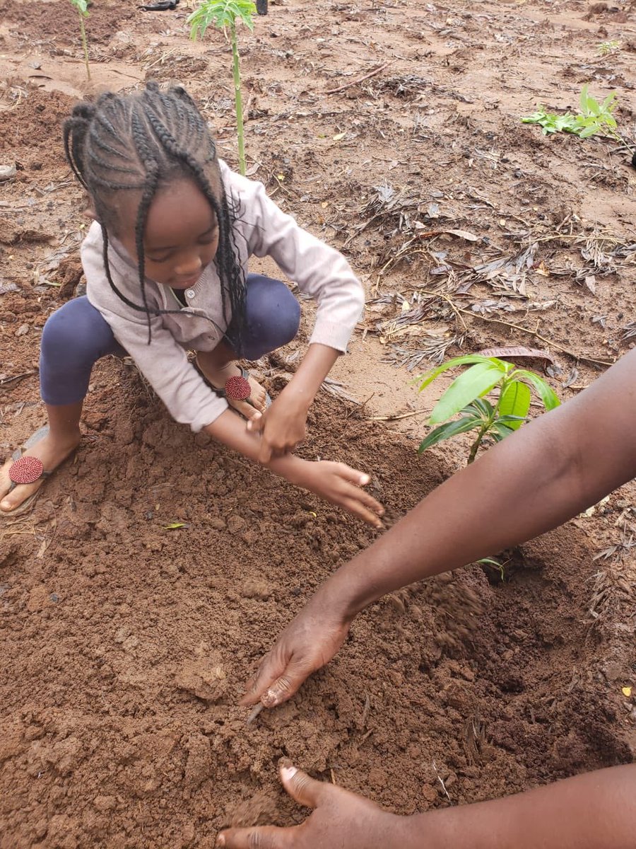 Sisters4planet's tweet photo. Planting Fruits trees will not only add forest cover but also increase our food basket. #SDG1 #SDG13 Planted Mango, 🥑 , Pawpaw &amp; passion 🌲 #ClimateAction #SistersWithNature
#TeachWhatCounts @greenkidsawards @UNEnvironment https://t.co/XrhbTx1sti