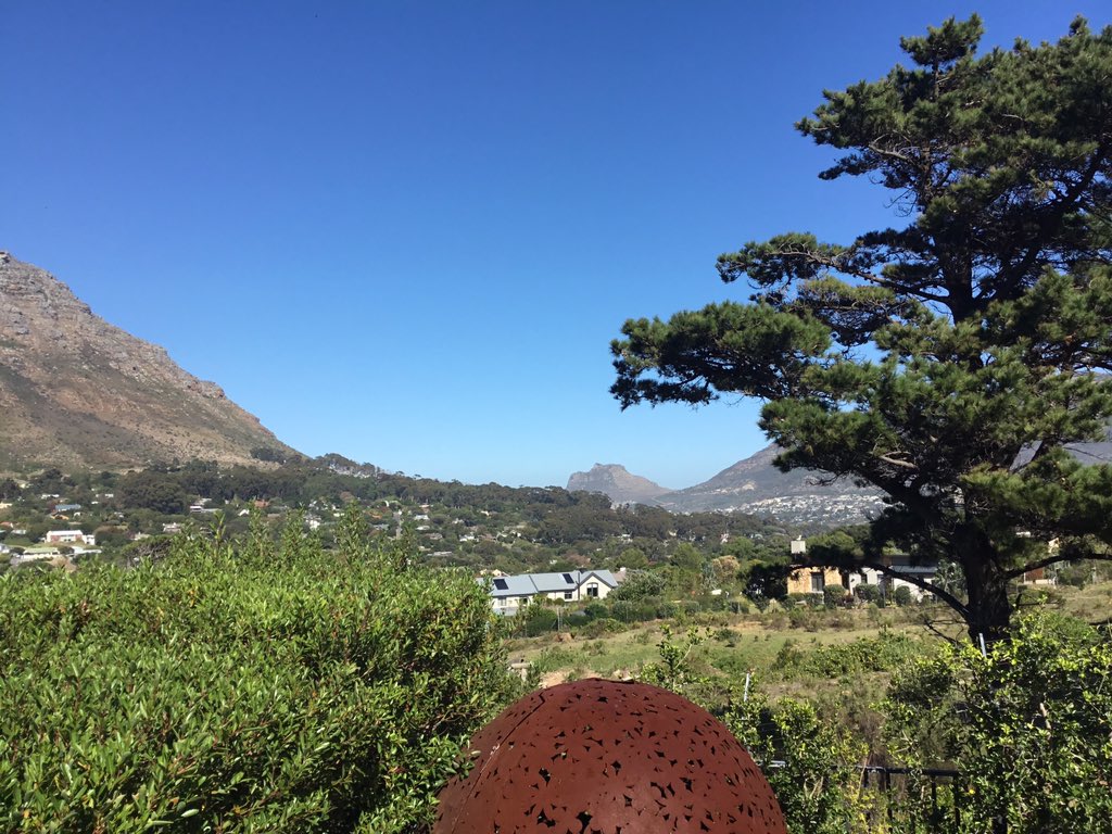 Wes Hamil tweet media