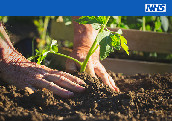 NHSuk's tweet photo. Gardening, as a form of exercise, can help you stay healthy, energetic and independent as you get older. See advice on staying active in older age: https://t.co/olmIEogoeF   #NationalGardeningWeek https://t.co/7G9HHrz65i