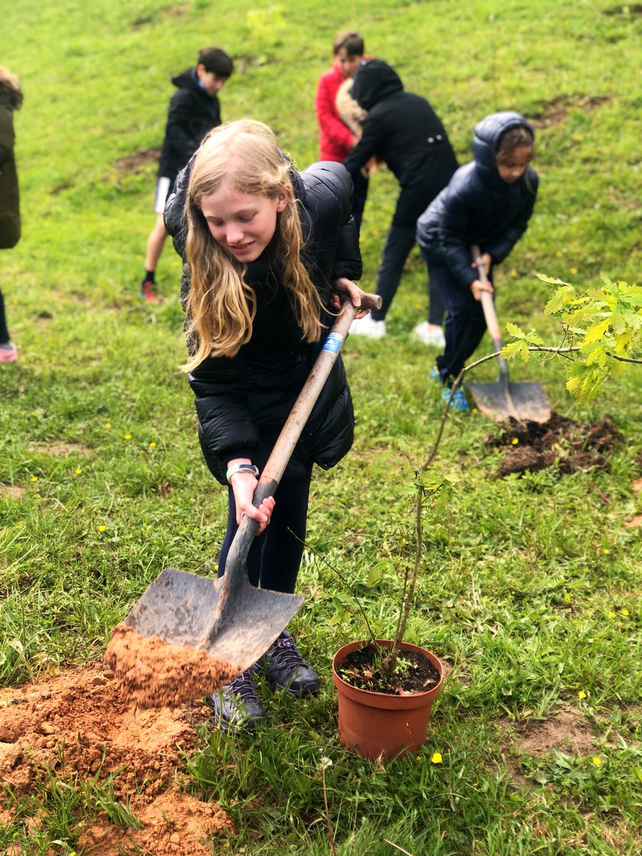 El tiempo nos lo puso difícil a la hora de plantar, pero con una sonrisa y ganas ayudamos al medioambiente y a la replantación de árboles en el Naranco <a href="/aytoviedo/">@aytoviedo</a> <a href="/ausevamaristas/">Maristas Auseva</a> #Semanad#DelÁrbol