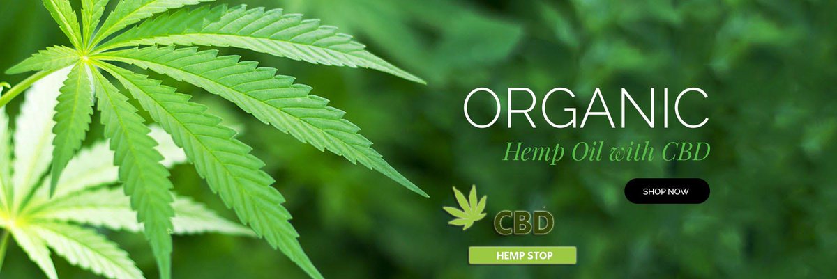 CbdStop's tweet image. "Organic Hemp Oil"
#Hemp #Oil #products HempStop
 #OraganicOil #OilProducts #HempOil #CBDHemp #Oil #HempProducts
Click here for more info : goo.gl/UyYmEQ