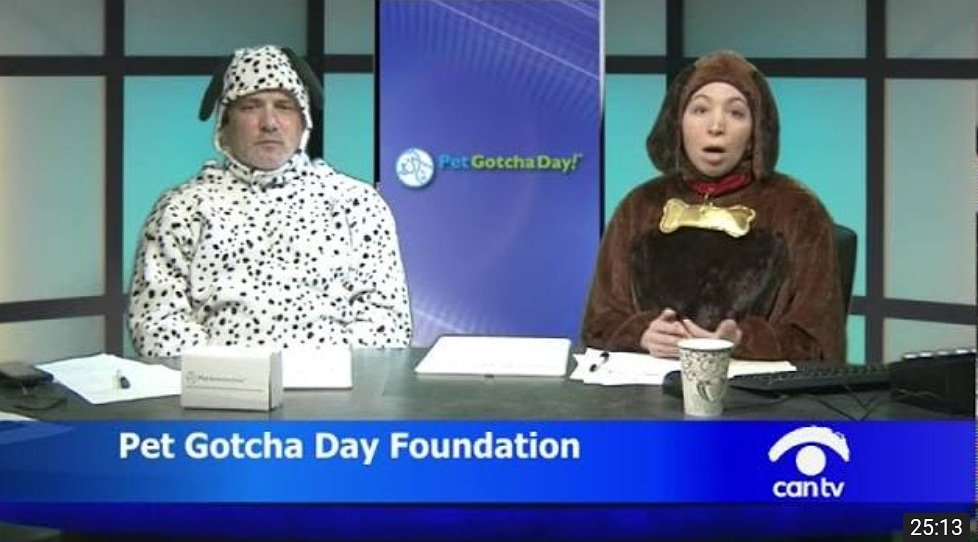 Tune in every Monday at 5pm CST for the next episode of Pet Gotcha Day Live! 
View on CAN TV channel 21 or cantv.org/hotline. 
Adoptable pets, contests, special guests, a call-in for live conversations and we welcome a new cohost

watch. love. adopt. #celebratepetgotchaday