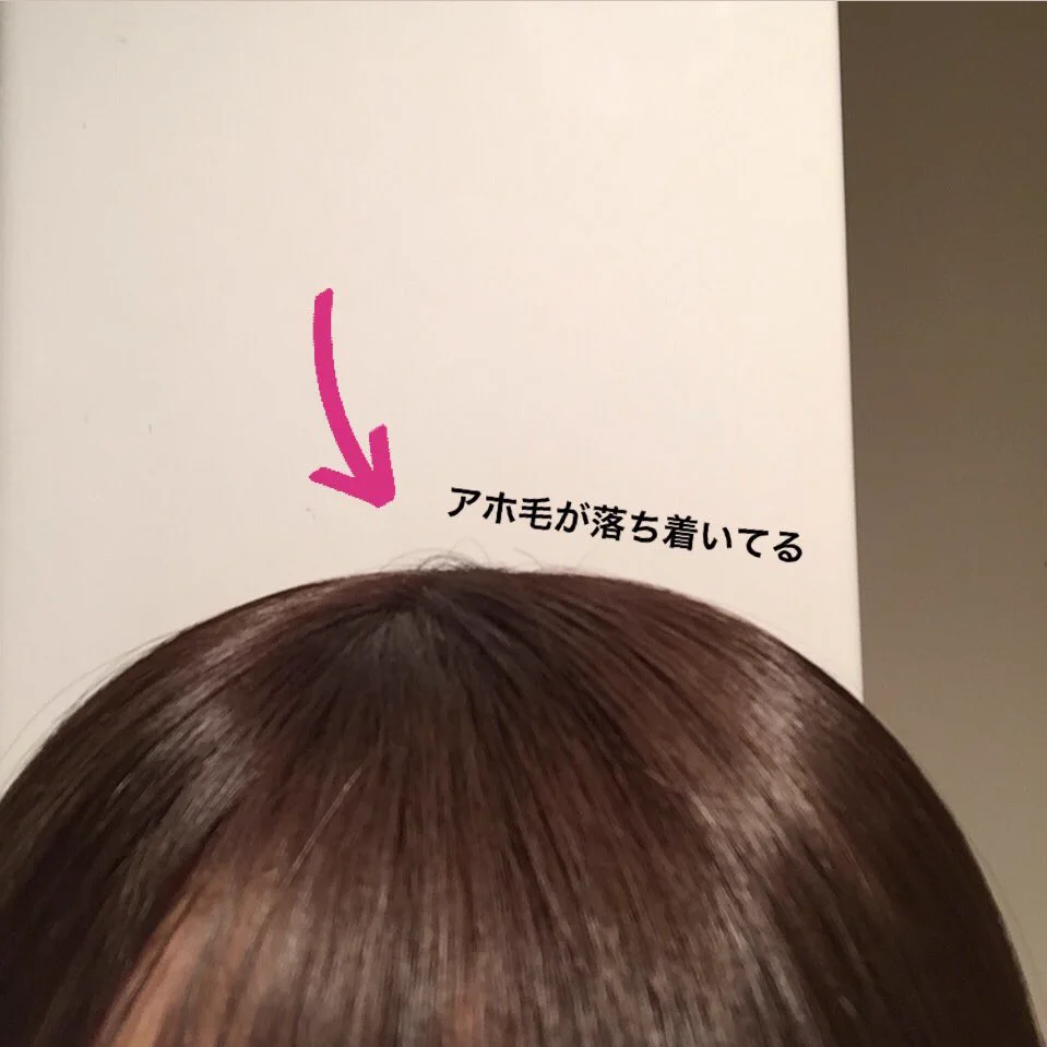 アホ毛に悩む女性必見！これさえあればもうアホ毛も怖くない！