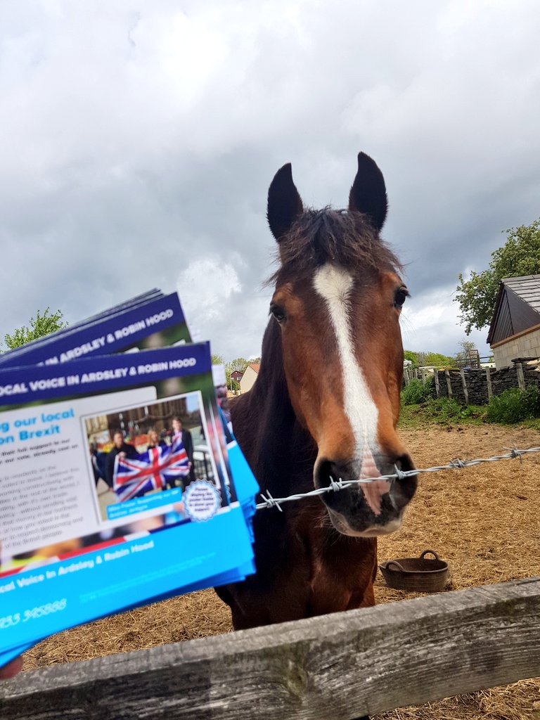 MikeFosterARH's tweet photo. Came across this guy on the campaign trail, he didn't want to lose our precious green spaces either! https://t.co/Prue4FnenZ
