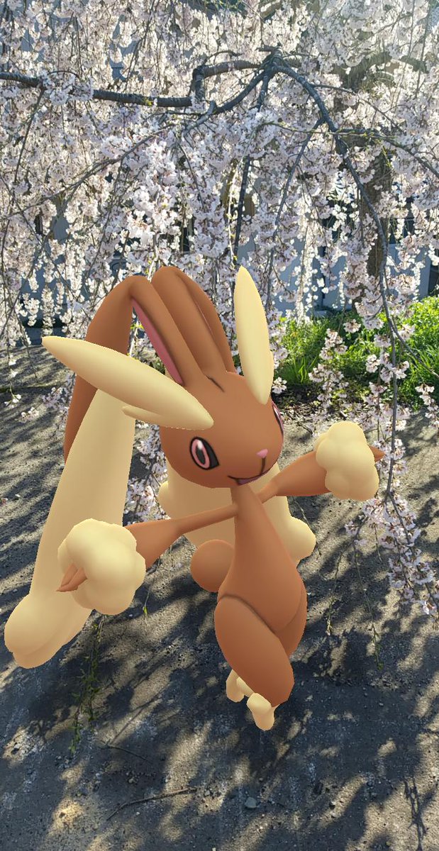 エサルミ ミミロップ大好き 今日は待ちに待ったミミロップの日 かわいいかわいいミミロップ いつも癒しをありがとう 4月28日はミミロップの日 ミミロップの日 ミミロップ Lopunny T Co 3yl7pxz435 Twitter エサルミ ミミロップ大好き 今日は待ちに待ったミミロップの日 かわいいかわいいミミロップ いつも癒しをありがとう 4月28日はミミロップの日 ミミロップの日 ミミロップ Lopunny T Co 3yl7pxz435 Twitter