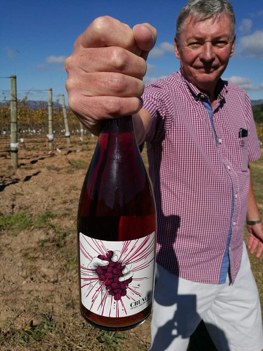 ElginRidgeWines's tweet photo. SURPRISE! It's CRUNCH! TIME 🍷

We promised to have a few surprises in store for #ElginCoolFest and here's the biggest - we're officially launching our #CRUNCHWhite and #CRUNCHRed today! These brand new wines are made for everyday drinking pleasure.

Taste them this weekend! https://t.co/8k052VcSqU