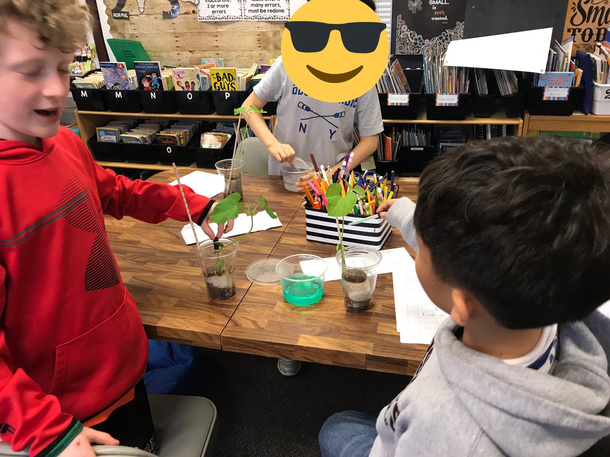 MsMoransClass3's tweet photo. Each day have been completing our daily observations and feeding our been plants/seeds. Some students have had a lot of success so far. We will see what happens next week! 🌱 #3MorTweets #plantobservations #greenthumbstudents https://t.co/9K7LNeWIbn