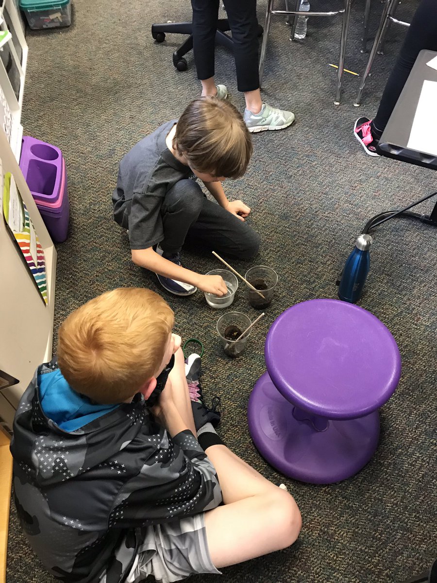 MsMoransClass3's tweet photo. Each day have been completing our daily observations and feeding our been plants/seeds. Some students have had a lot of success so far. We will see what happens next week! 🌱 #3MorTweets #plantobservations #greenthumbstudents https://t.co/9K7LNeWIbn