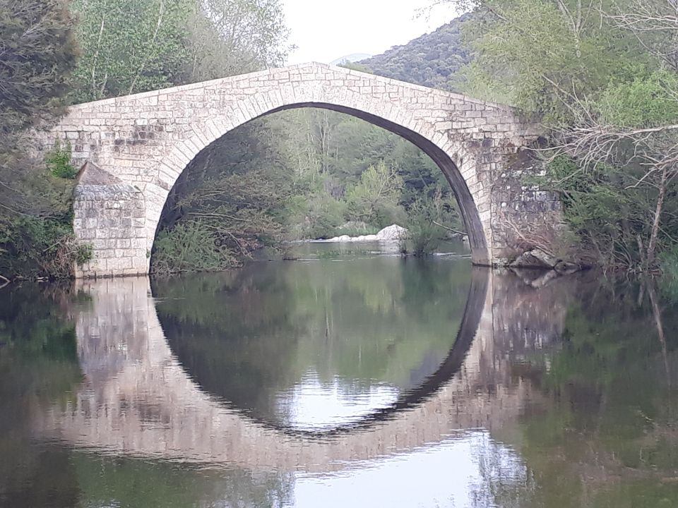 Serge Dalichoux tweet media