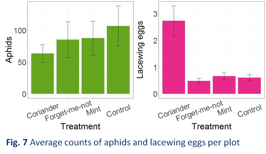 Dylan Hodgkiss tweet media