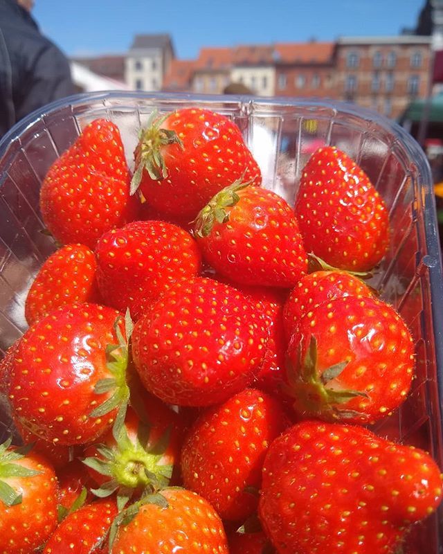 FIMMfoodblog's tweet photo. Snoepen op de markt ๐
First #strawberries of the year
#Foodmet
#nofilter #onlysun
#FIMMfoodblog #foodie #foodlover https://t.co/tiYtAfDXT7 https://t.co/oCLJeau3Yi