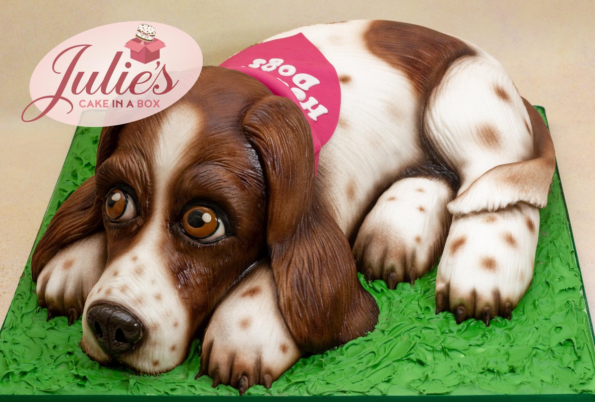 springer spaniel cake