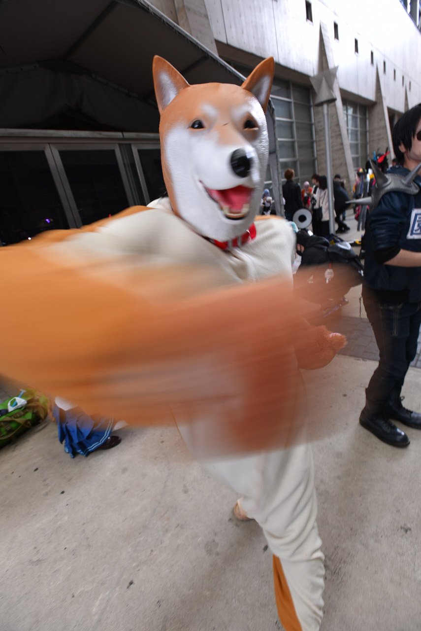 超会議 コスプレ  / X