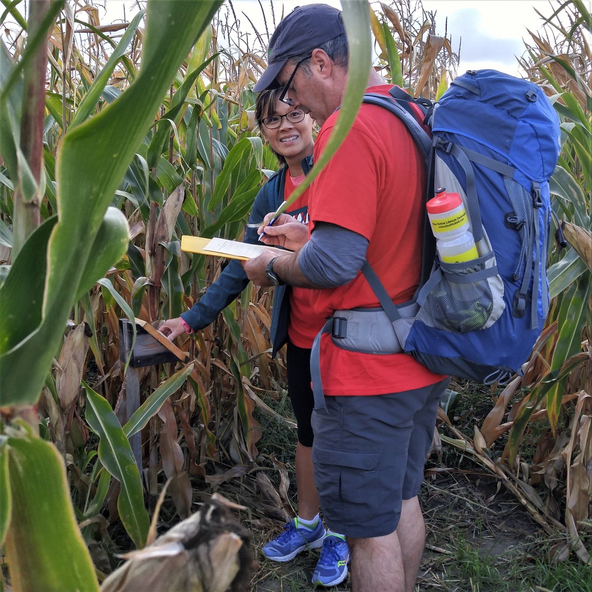 RotaryHome's tweet photo. Is getting lost in a corn maze your kind of fun? Then you should challenge yourself to the Amazing Race! 

https://t.co/mhsXP62d27

#ottevents #fundraiser #myottawa #challenge https://t.co/qv10KXlvrh