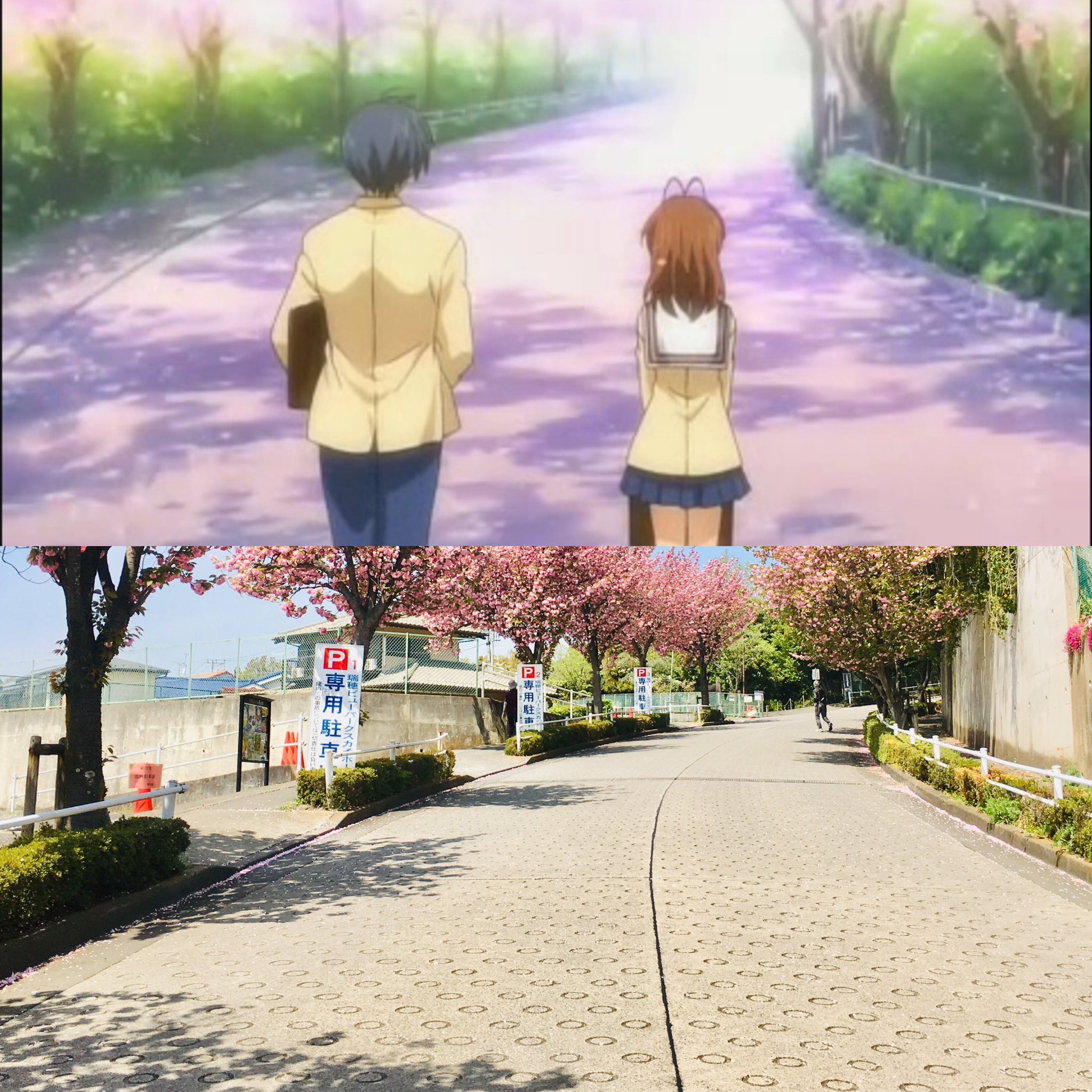 Akky V Twitter Clannad聖地巡礼 最も有名と言っても過言ではない 度々登場する学校前のあの坂 感動で震えました はい 10年前とはいえども桜は相変わらず美しいんですね Clannad Akky聖地巡礼 T Co Chd76clduh Twitter