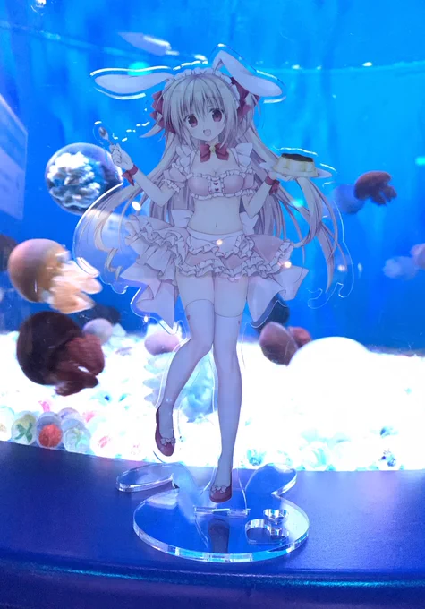 水族館で一人でアクリルフィギュアを撮っている怪しい人です? 