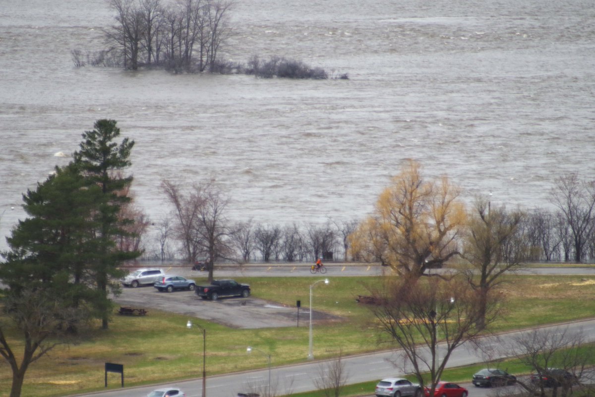 LyneAKADenyse's tweet image. Well, it's official. Bate Island is now closed as well as the Champlain parking lot at Island Park and SirJAM.
The paths on both sides of the SirJAM are also closed. Here are pictures of yesterday and this morning, 24 hours apart. @BlacksWeather @JLeiper @CBCOttawa