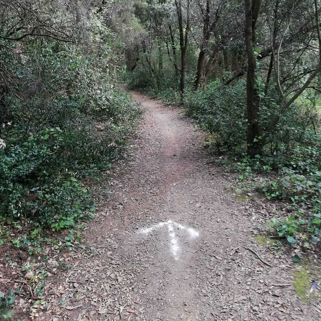 TerrassaTrail's tweet photo. Recorreguts marcats i remarcats esperant-vos per demà. Recordeu, a partir de les 16h fins les 20h entrega de dorsals a @clubegara! https://t.co/xHkte92XYV