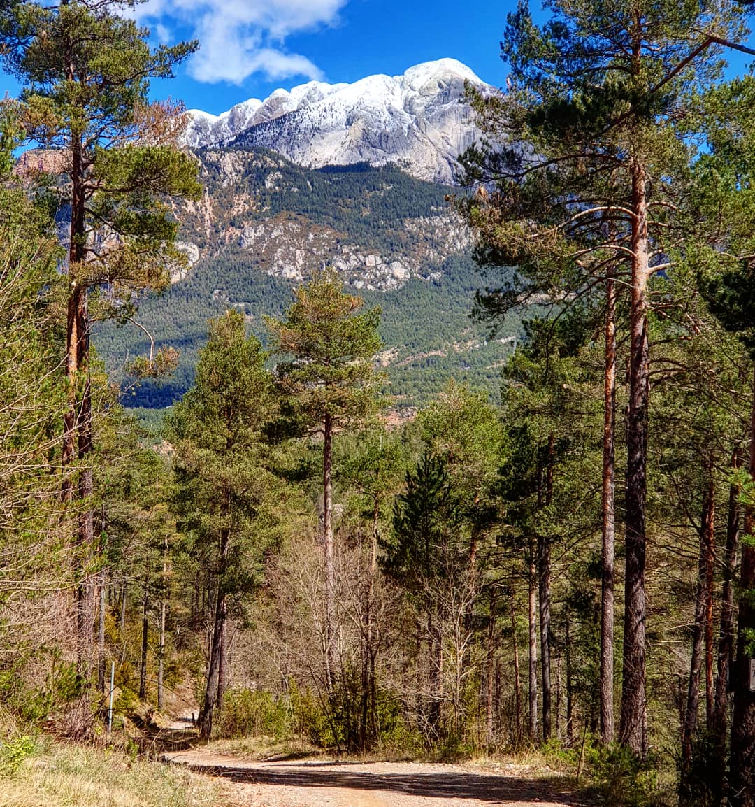 ricardrigall's tweet photo. El Pedraforca, vist des del camí de Feners a Vilacireres. #feners #vilacireres #saldes #gósol #berguedà #pedraforca #serradelverd #bicicleta #btt #mtb #primavera2019 https://t.co/8Umu2X9Hud