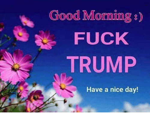 juliet_benoit's tweet photo. Good morning fellow #Resisters!! Have a great Saturday! It's hot and sunny in Puerto Plata! It's a good day to #resist!🌴🌞🍍🌞🌴#RiseUp #StrongerTogether #RejectRacism #Peace ☮️☮️☮️ https://t.co/IYBQuxtRTp
