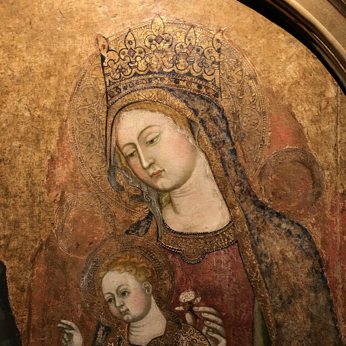 Betstabea's tweet photo. Madonna in trono col Bambino e la Principessa Margherita di Savoia. Maestro di Ladislao di Durazzo.
#Matera #Matera2019 #PalazzoLanfranchi #arteinBasilicata #goticointernazionale #Basilicata #julie_matera #museiitaliani #vitadastoricidellarte #giuliamanes @Matera2019 https://t.co/XMUcQN3LpD