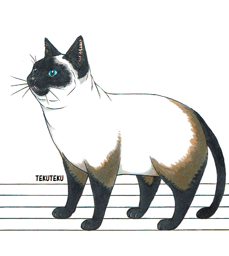 تويتر Tekuteku على تويتر てくてく猫描 シャムネコ にゃん オリジナル イラスト コピック 猫好き イラスト好きな人と繋がりたい 何の曲かは 知らない シャムにゃん描いたら足が音符っぽいから しっぽもそうして 五線譜引いただけ D