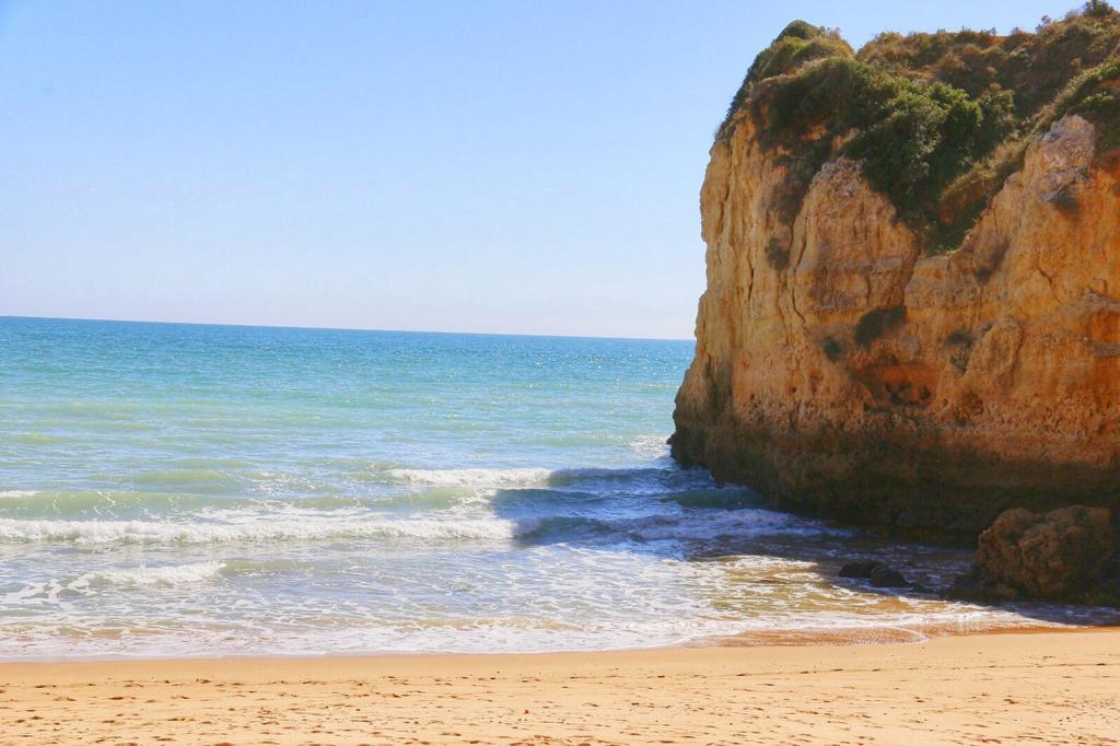 Vila Vita Parc tweet media