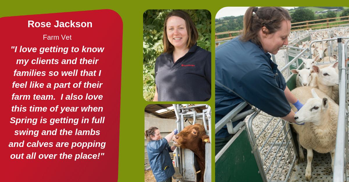 #WorldVeterinaryDay is an opportunity to celebrate the contributions of #veterinary professionals to the health of #animals & society. Rose shares why she loves being a #vet! #WVD2019 #VetAppreciation #VetDay