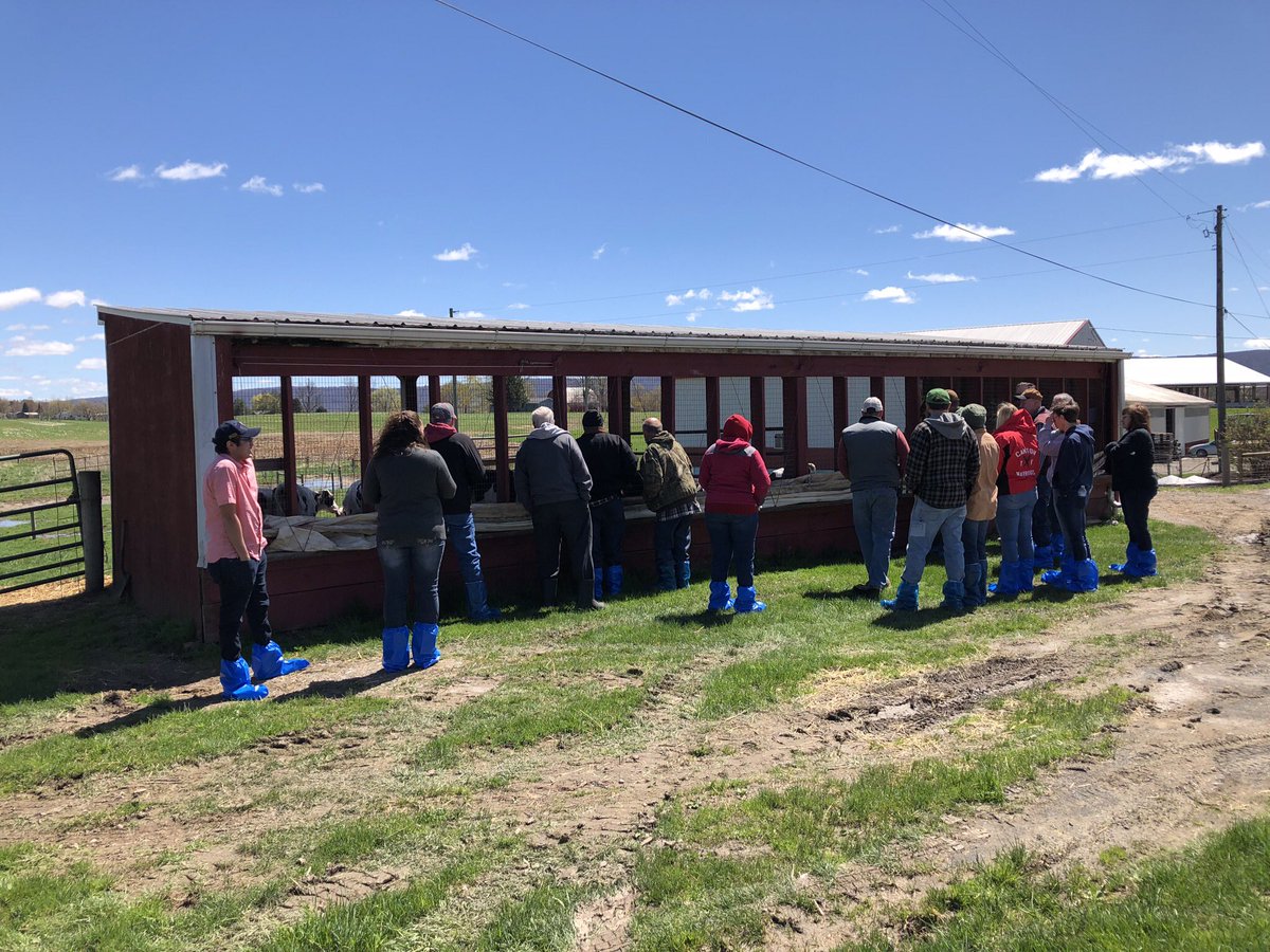 jcwcelb's tweet photo. @PSUDairy   Great heifer workshop https://t.co/HSY4CilgsD