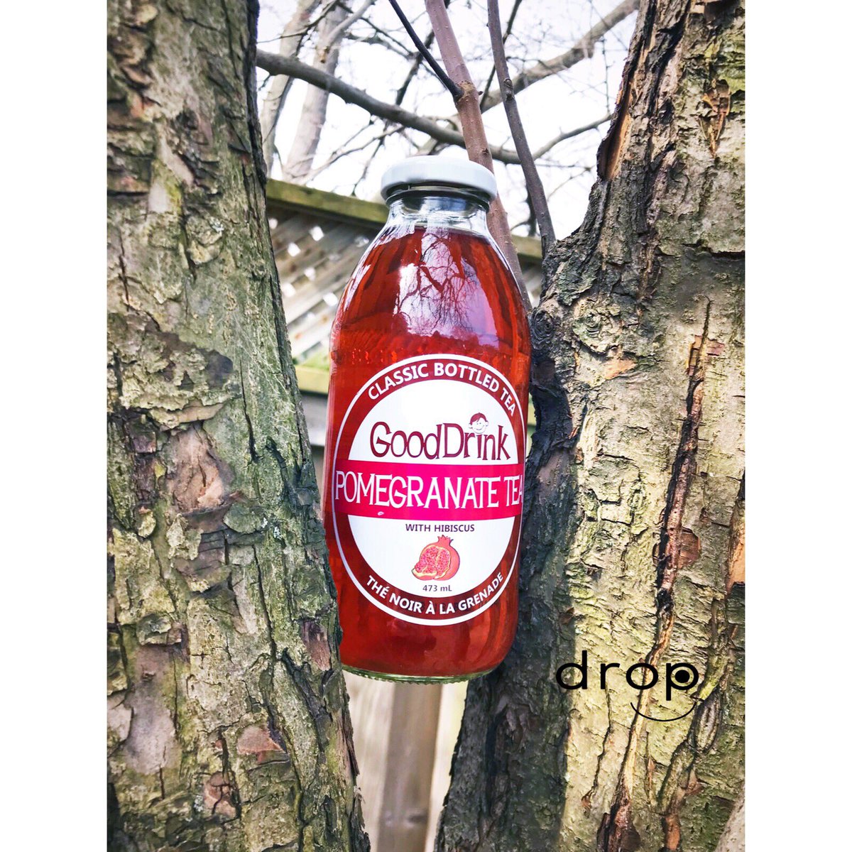 It may be taking a while for the trees to start showing signs of life this Spring....but this one seems to be well on its way. #SaturdayMorning #SpringTime #beverage