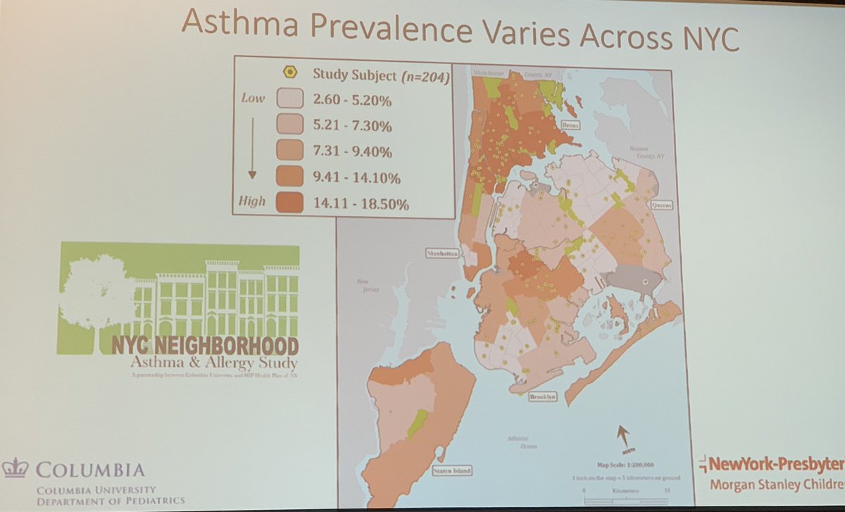 Pediatric Research tweet media