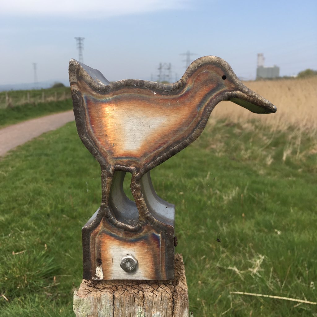 Katie Jane Silverthorne tweet media