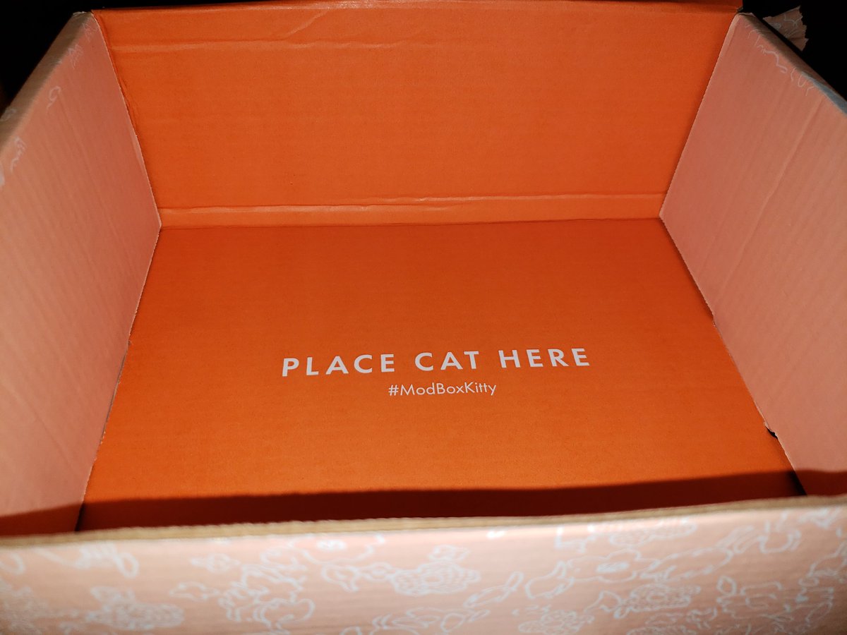 shanasparkles's tweet photo. #modboxkitty #caturday https://t.co/xH46L2Bh3E