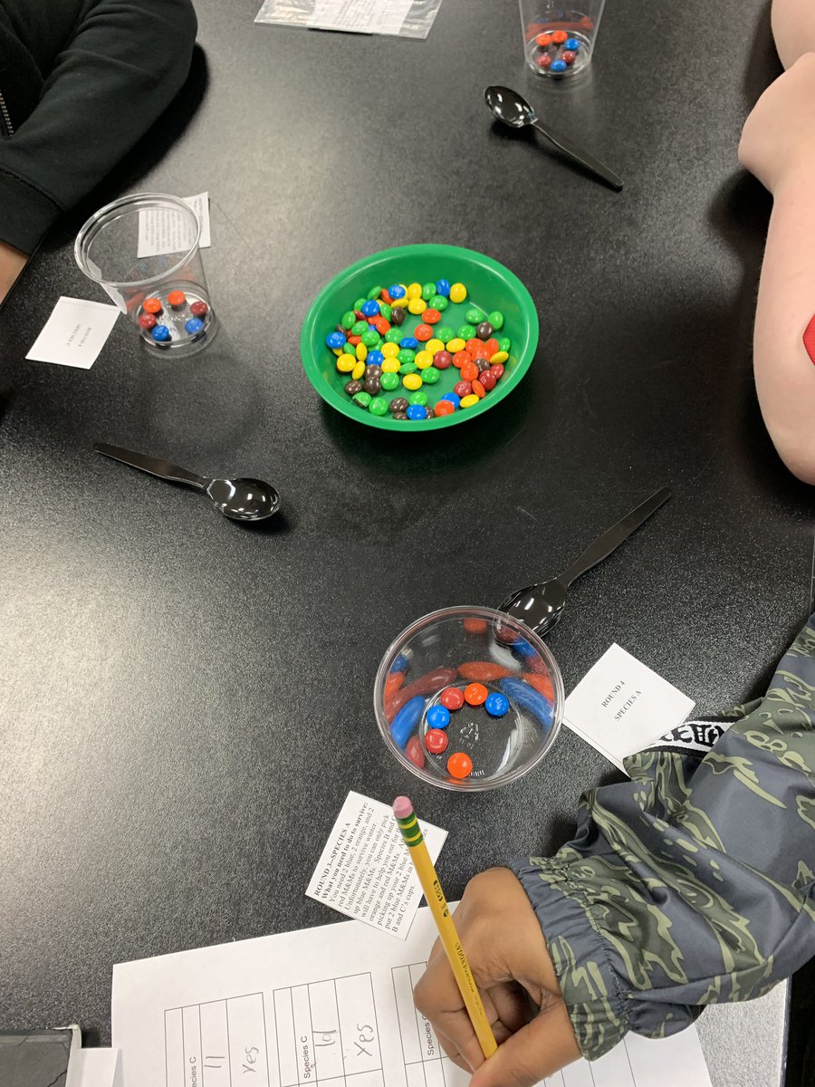 TeamStafford3's tweet photo. Experiencing symbiosis through a game of M&M eating Species. This was fun! #sciencerockscms https://t.co/ZjK3xhmX2m