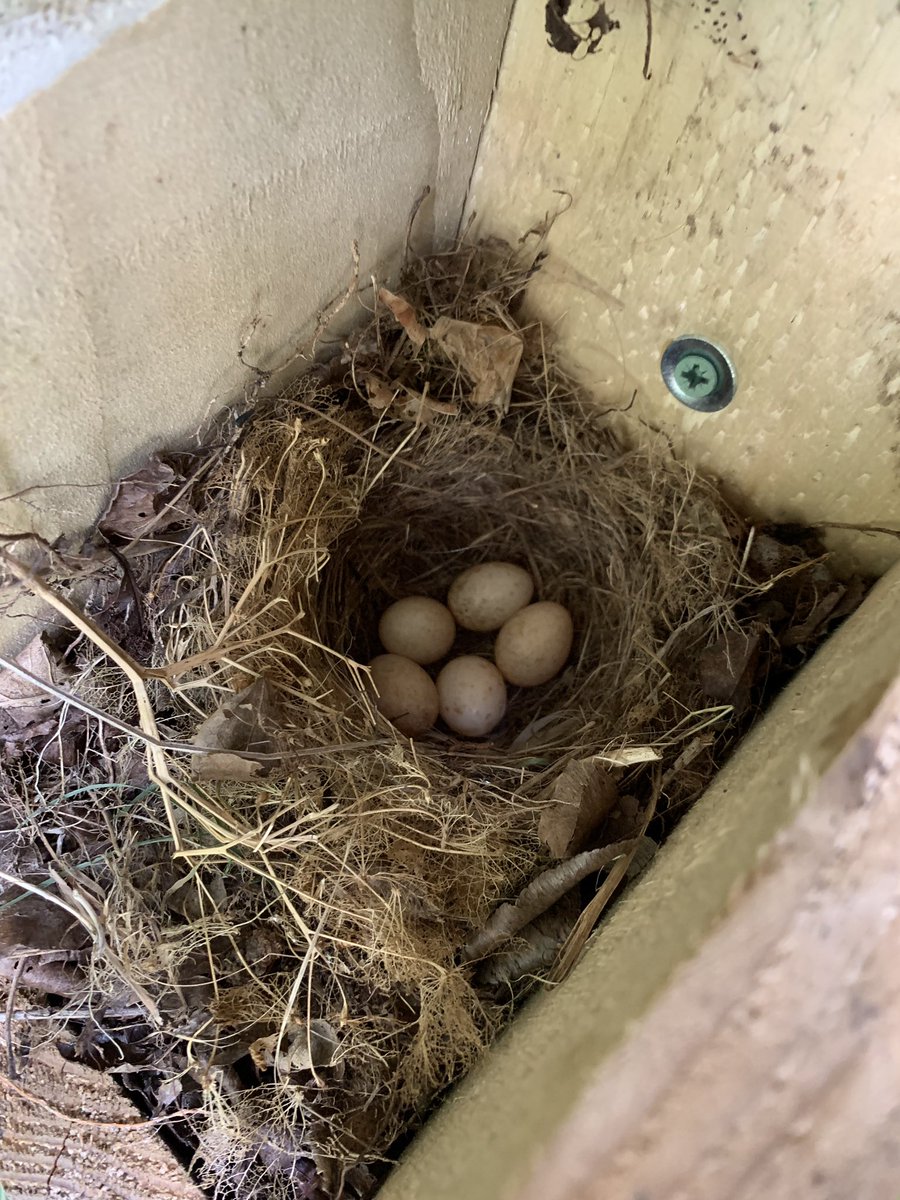 jasonroberts tweet media