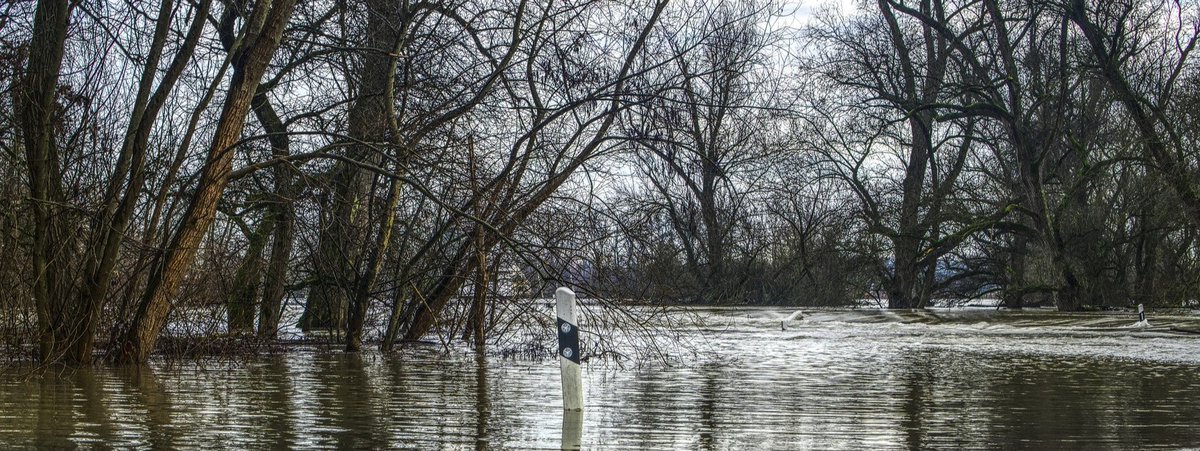 Has your private water supply been affected by flooding? As a precaution use an alternate water supply for drinking, making ice or drinks; gargling or brushing teeth; making baby food/formula; washing dishes or washing any food such as veggies and fruit. smdhu.org/flood