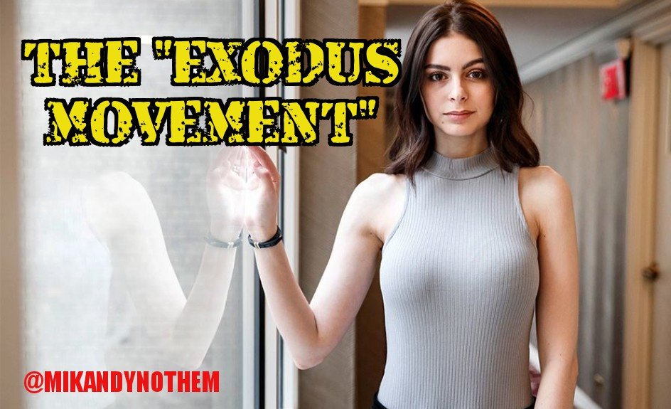 Michael Nöthem tweet media