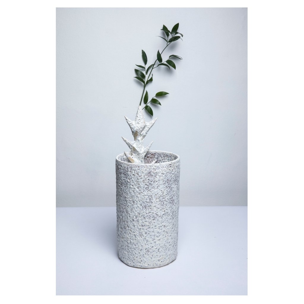 Origoo_art's tweet photo. Novým designérem v online galerii Origoo je Vojtěch Červinka. Mladý návrhář keramiky a porcelánu studuje na UMPRUM v Praze v ateliéru Maxima Velčovského. Ve své práci se Inspiruje lidmi a jejich potřebami, ale i dopadem na životní prostředí. 

☞ https://t.co/QvNiPjEADt https://t.co/PiRqmm1JAB