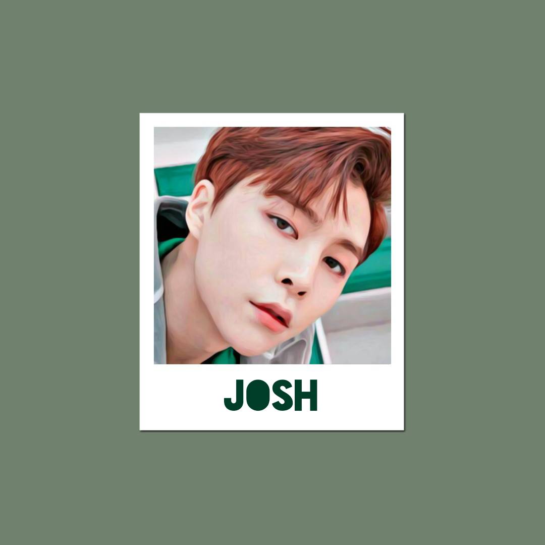 josh. tweet media