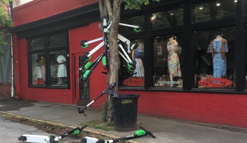 DANKCHAINS's tweet image. I love this time of year. Sunshine, birds chirping, the Lime scooter tree in full bloom.