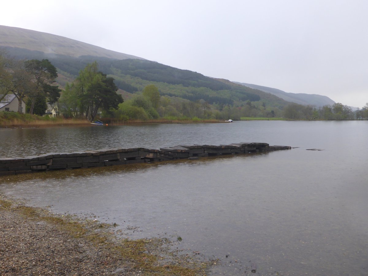 greginthewater's tweet photo. Saturday morning swim in #lochard with water almost 10c and gentle rain falling. Another nice skins swim out to island and back for 1st time this year. Summer is coming @robroycountry  @lomondtrossachs #openwaterswimming # https://t.co/U5MboK5ehJ