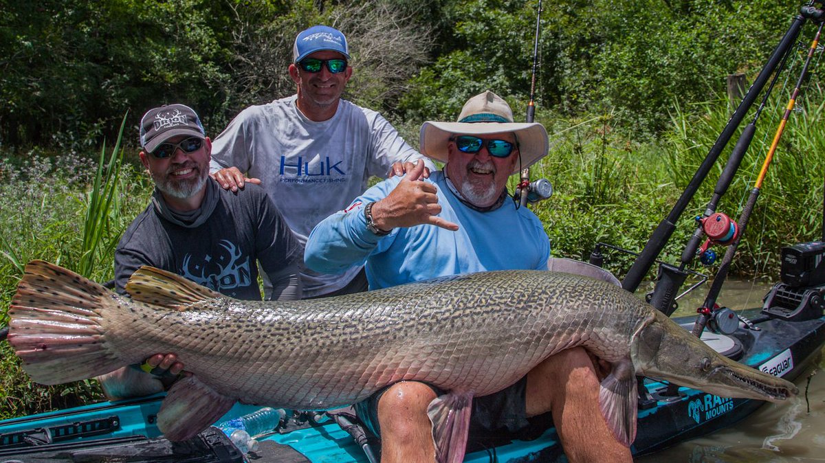 GuyHarveyResort's tweet photo. Jim Sammons from @KayakFishingTV with a monster Alligator Gar in Texas! Jim will be sharing his knowledge of Kayak Fishing with our Outpost Academy at @GHResortStAug in May, be sure to sign up: https://t.co/HDuKmfreDl. https://t.co/bBFbgbWs0U