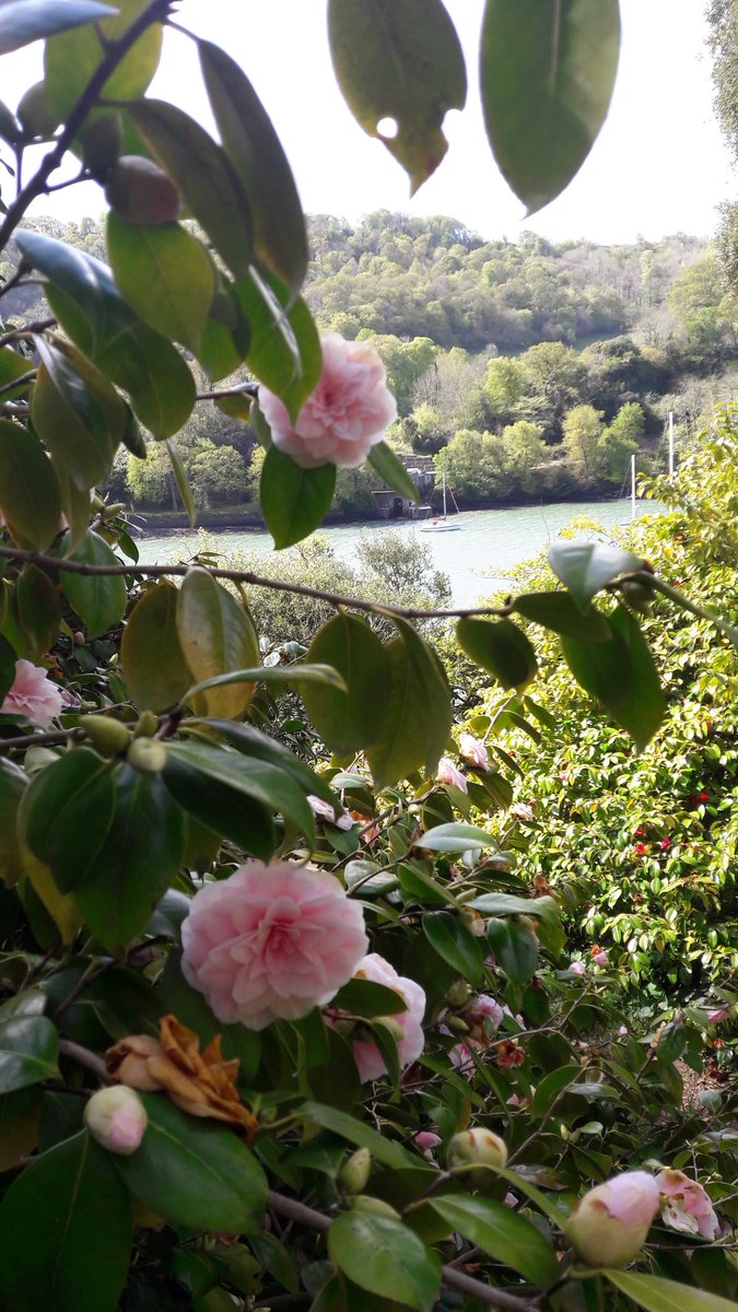 NicolaMJackson's tweet photo. #Devontoday just WOW..... https://t.co/xZDvD4p5Nt