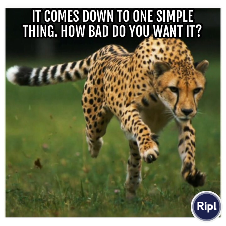 BottomLineInv's tweet photo. You can find a way or you can find an excuse, it’s all on you!  via https://t.co/IR6BKuRwt5 https://t.co/biSZQWv7jA